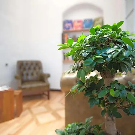 Engel - Lindauer Bier Und Weinstube Lindau (Bodensee)